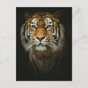 tijger briefkaart
