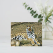 tijger briefkaart (Staand voorkant)