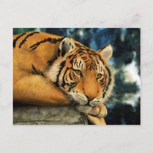 tijger briefkaart