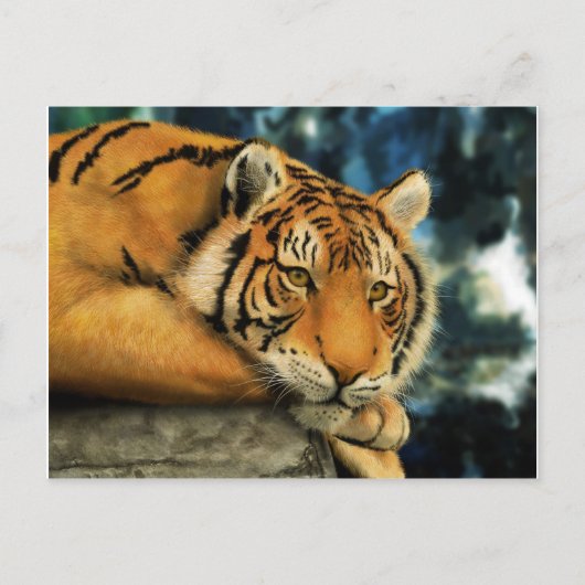 tijger briefkaart (Voorkant)