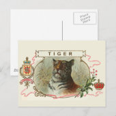  tijger briefkaart (Voorkant / Achterkant)