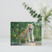 tijger briefkaart (Staand voorkant)