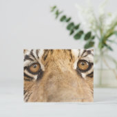 tijger briefkaart (Staand voorkant)