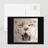 tijger briefkaart (Voorkant / Achterkant)