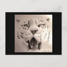 tijger briefkaart