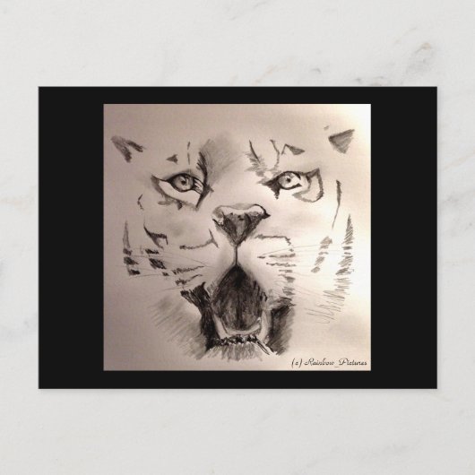 tijger briefkaart (Voorkant)