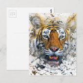 tijger briefkaart (Voorkant / Achterkant)