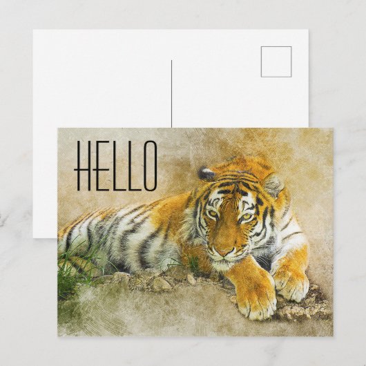 tijger briefkaart (Voorkant / Achterkant)