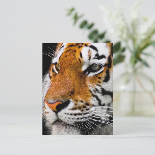 tijger briefkaart (Staand voorkant)