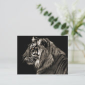 tijger briefkaart (Staand voorkant)