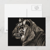 tijger briefkaart (Voorkant / Achterkant)