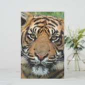 tijger briefpapier (Staand voorkant)