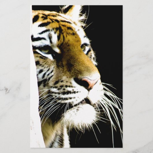 Tijger Briefpapier (Voorkant)