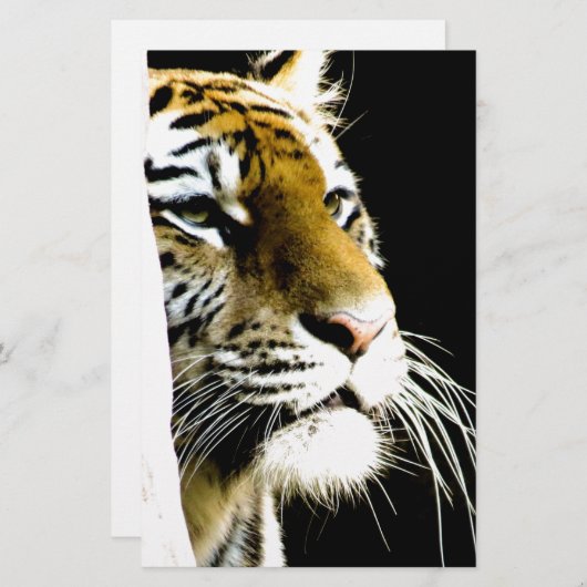 Tijger Briefpapier (Voorkant / Achterkant)