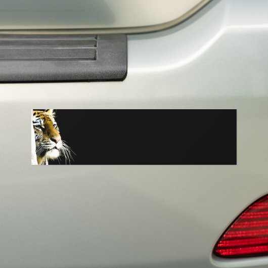 tijger bumpersticker (Op auto)
