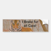 tijger bumpersticker (Voorkant)
