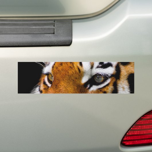 tijger bumpersticker (Op auto)