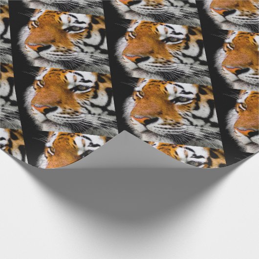 tijger cadeaupapier (Hoek)