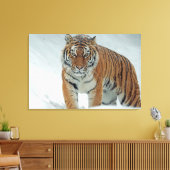 tijger canvas afdruk (Insitu (Woonkamer))