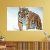 tijger canvas afdruk (Insitu (Woonkamer))