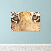 tijger canvas afdruk (Insitu (Houten vloer))