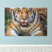 tijger canvas afdruk (Insitu (Houten vloer))