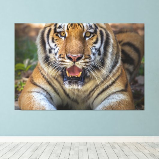 tijger canvas afdruk (Insitu (Houten vloer))