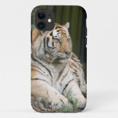 tijger Case-Mate iPhone case (Achterkant)