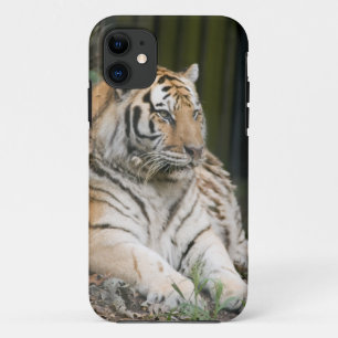 tijger Case-Mate iPhone case
