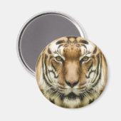 Tijger Close-Up magneet (Voorkant / Achterkant)