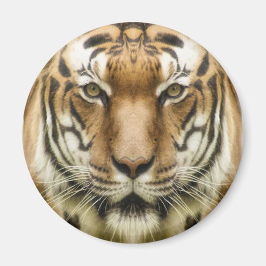 Tijger Close-Up magneet (Voorkant)