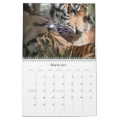 Tijger Cubs Kalender (Mar 2027)