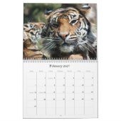 Tijger Cubs Kalender (Feb 2027)