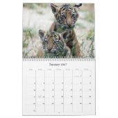 Tijger Cubs Kalender (Jan 2027)