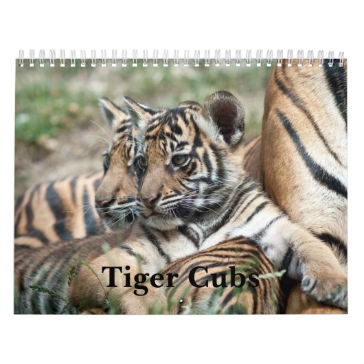 Tijger Cubs Kalender (Hoes)