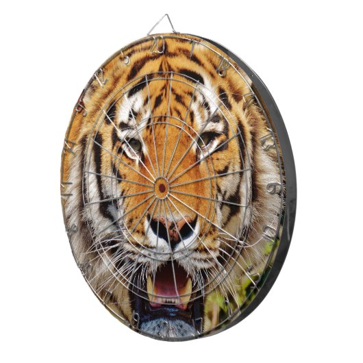 tijger dartbord (Voorkant Rechts)