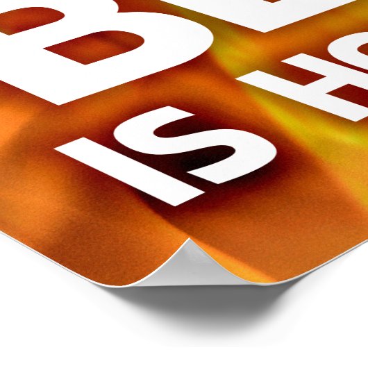 tijger die door de vlammen springt poster (Hoek)