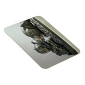 Tijger die een alligator vertrekt, 1832 (brons) magneet (Rechterzijde)