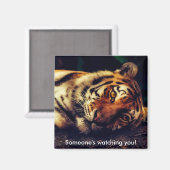 Tijger die je kijkt magneet (Voorkant / Achterkant)