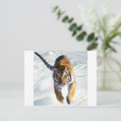 Tijger die sneeuwt briefkaart (Staand voorkant)