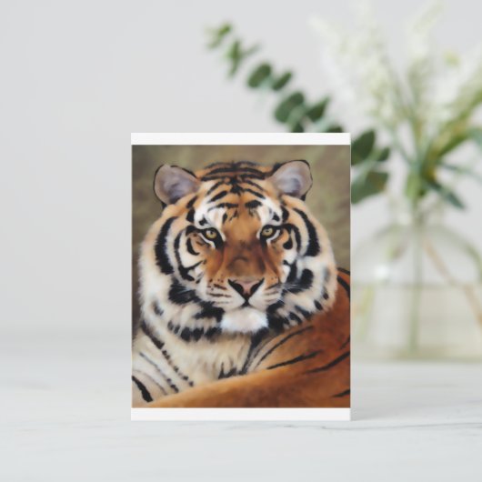 Tijger door Psyco Briefkaart (Staand voorkant)