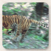 Tijger Drankjes Onderzetter (Voorkant)
