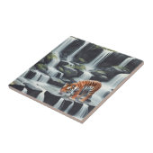 Tijger Drink bij waterval Tegeltje (Zijkant)