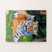 Tijger en Baby — prachtig in gras samen Legpuzzel (Horizontaal)