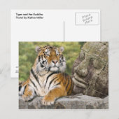 Tijger en boeddhistische tempel briefkaart (Voorkant / Achterkant)