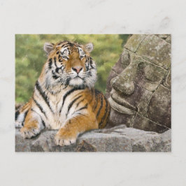 Tijger en boeddhistische tempel briefkaart
