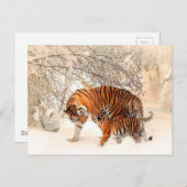 Tijger en Cub Briefkaart (Voorkant / Achterkant)