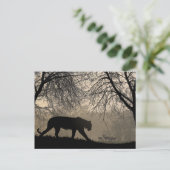 Tijger en Der Briefkaart (Staand voorkant)