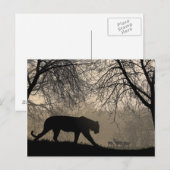 Tijger en Der Briefkaart (Voorkant / Achterkant)