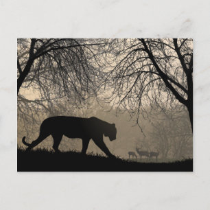 Tijger en Der Briefkaart